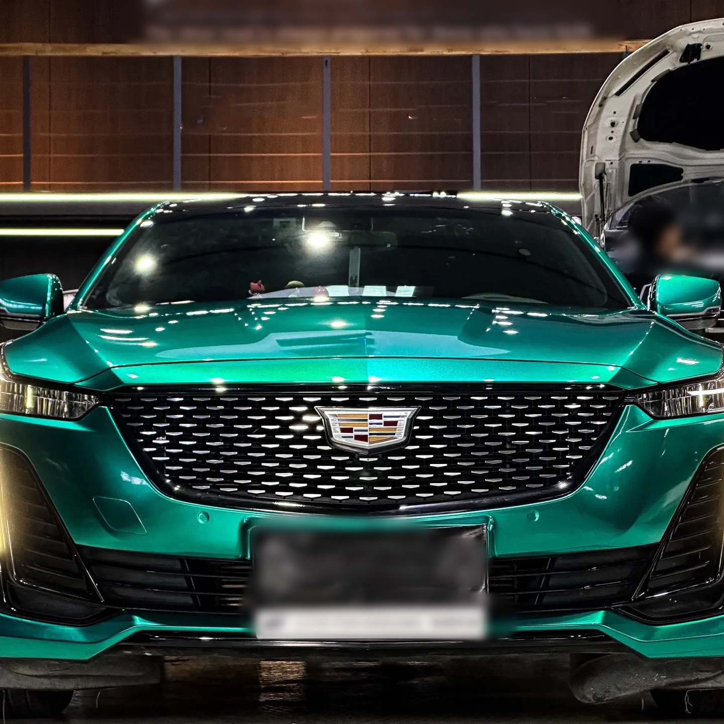 Ravoony Basic Metallic Paint Emerald Green Car Vinyl Wrap