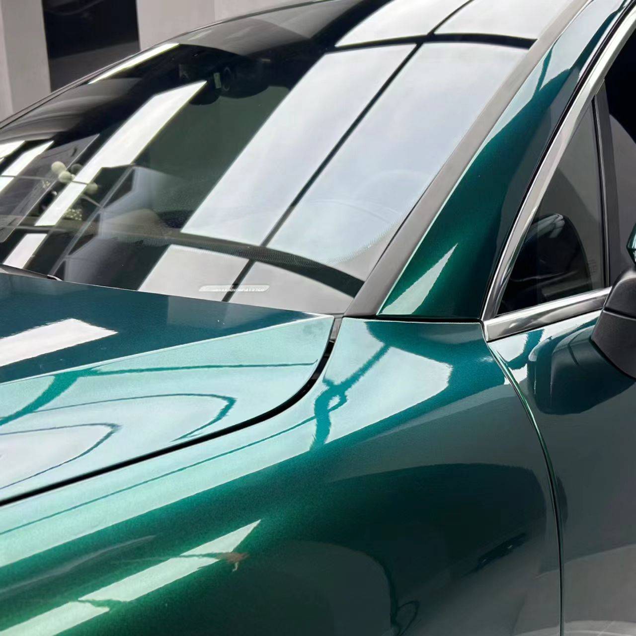 Ravoony Pro TPU Glossy Royal Green PPF Film