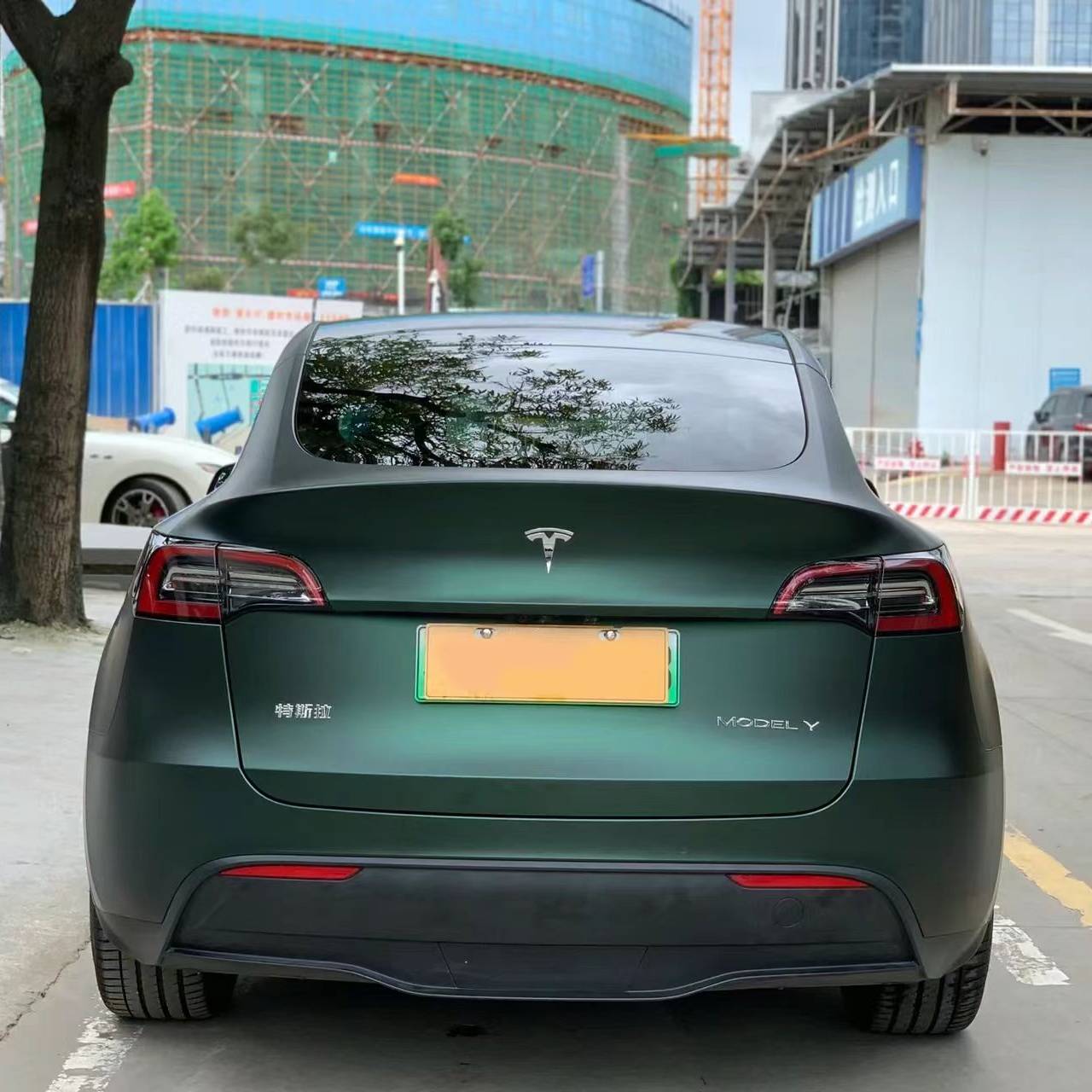 Ravoony Plus Ultra-Matte Diamond Green Car Wrap