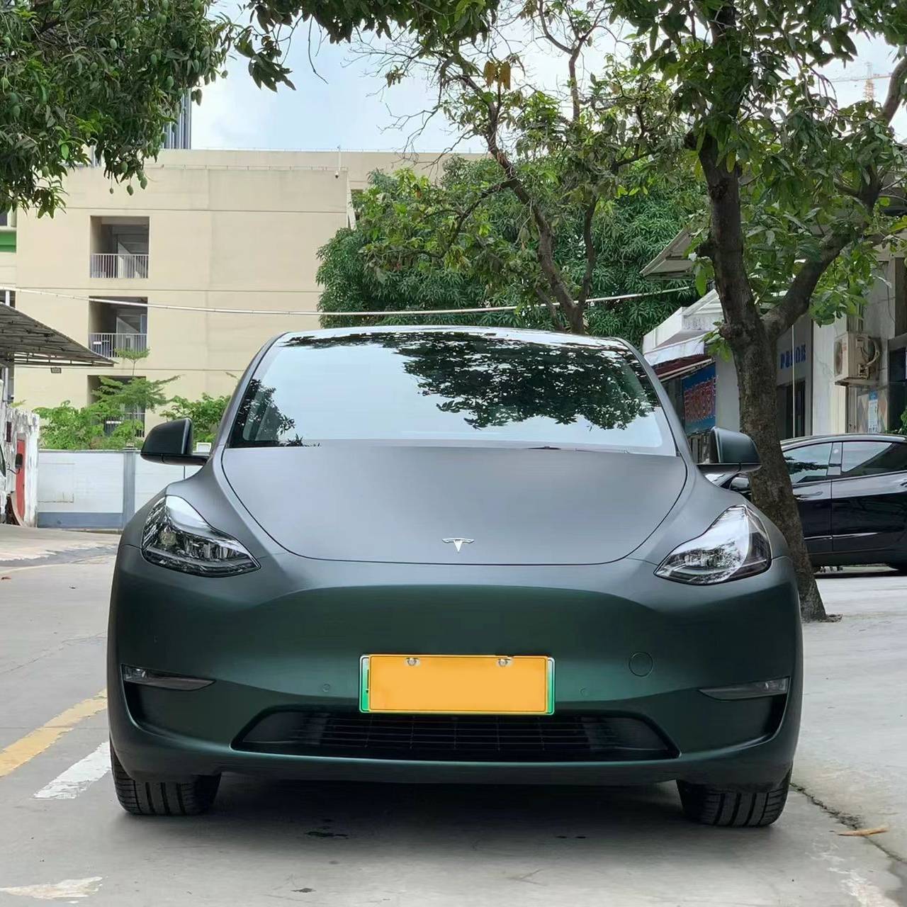 Ravoony Plus Ultra-Matte Diamond Green Car Wrap