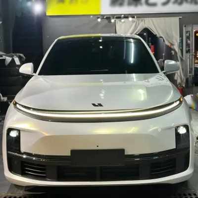 Ravoony Basic Gloss Pearlized White Gold Car Wrap 02
