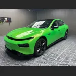 Ravoony Basic Kelly Green Vinyl Wrap