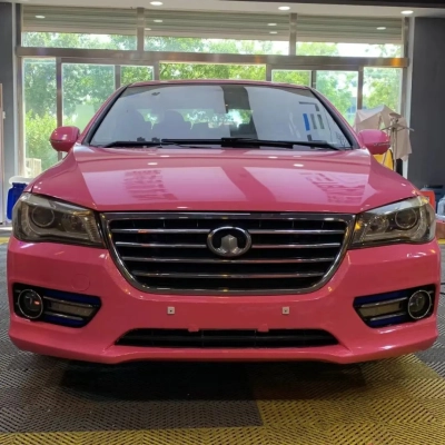 Ravoony Basic Sparkle Pink Car Vinyl Wrap 02