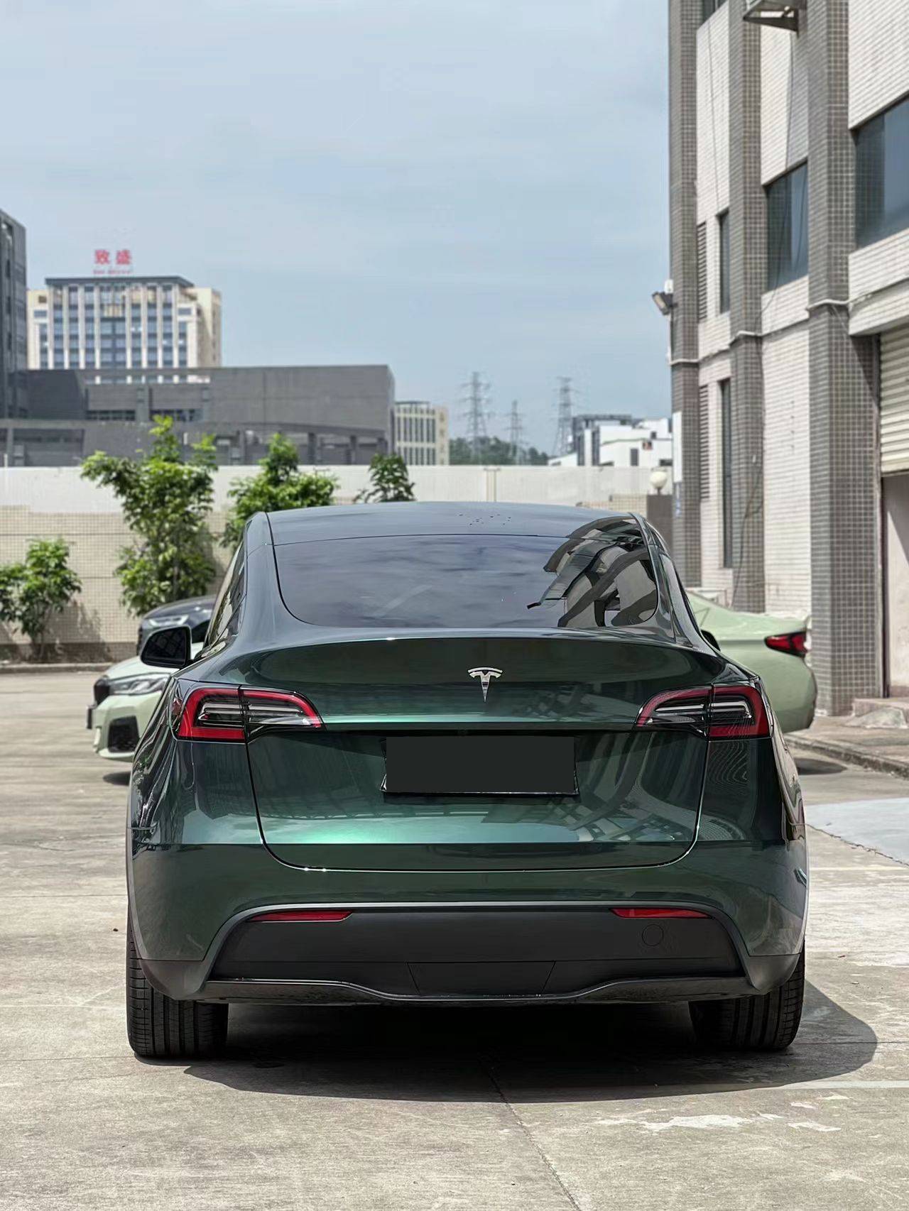 Ravoony Plus Glossy Gothic Green Car Vinyl Wrap