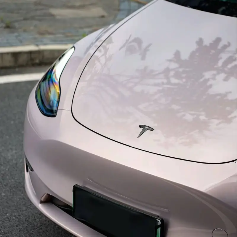 Ravoony Pro TPU Glossy Metallic Rouge Pearl Pink PPF Film