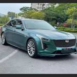 Ravoony Plus Pure Metal Dark Green Car Wrap