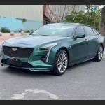 Ravoony Plus Pure Metal Dark Green Car Wrap