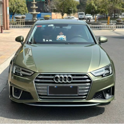 Ravoony Plus PET Gloosy Dazzling Night Green Car Wrap 02