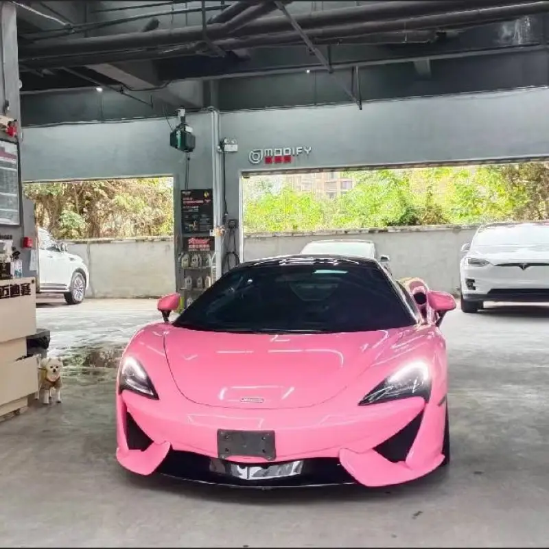 Ravoony Plus Glossy Crystal Light Pink Car Wrap
