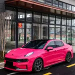 Ravoony Basic Gloss Beets Purple Vinyl Car Wrap