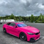 Ravoony Plus Gloss Beets Purple Vinyl Car Wrap