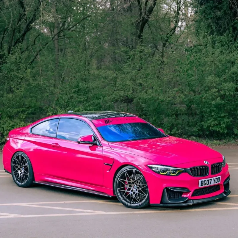 Ravoony Plus Gloss Beets Purple Vinyl Car Wrap