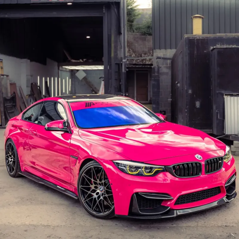 Ravoony Plus Gloss Beets Purple Vinyl Car Wrap