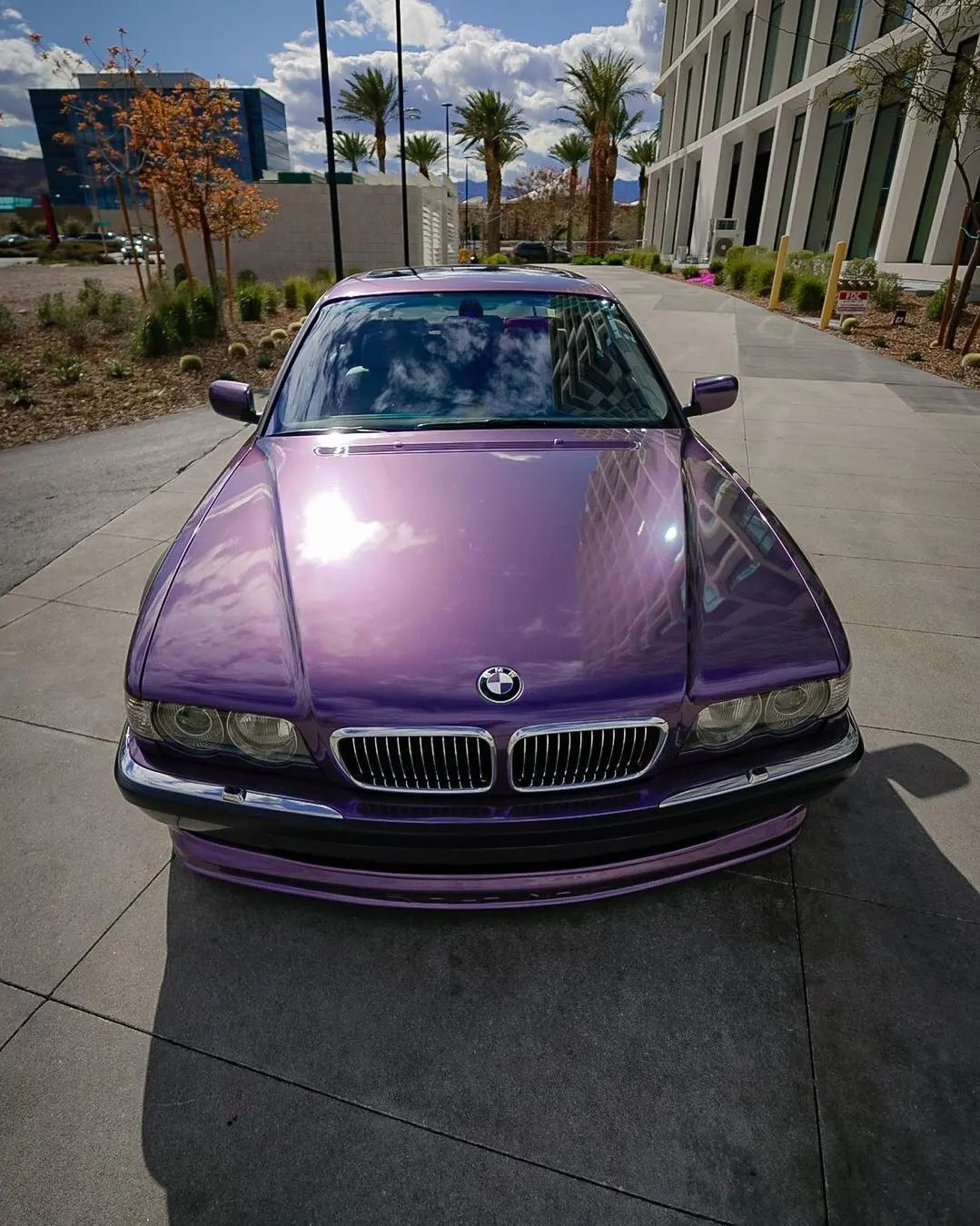 Ravoony Plus Gloss Liquid Metallic Viola Purple Car Wrap
