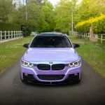 Ravoony Plus Twin Candy Purple Green Car Wrap