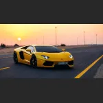 Ravoony Plus Heavy Metal Sparkle Yellow Car Wrap