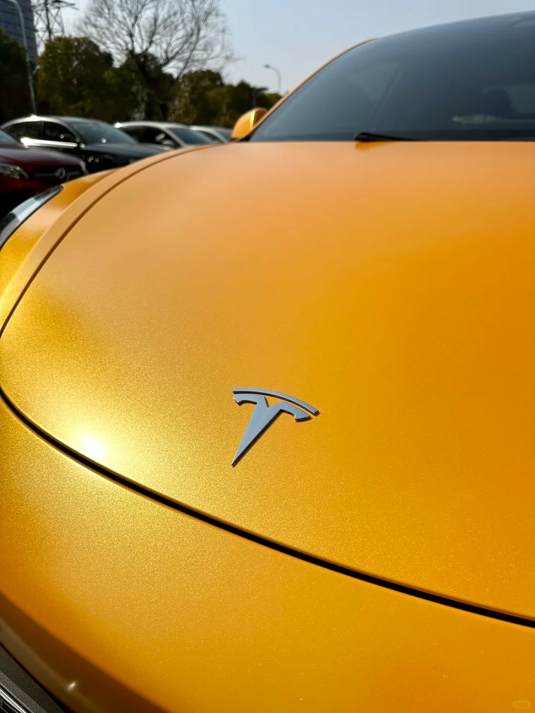 Ravoony Plus Heavy Metal Sparkle Yellow Car Wrap