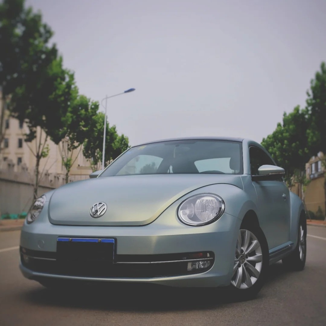 Ravoony Plus Matte Diamond Grey Gold Color Flip Car Wrap