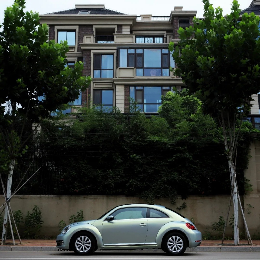 Ravoony Plus Matte Diamond Grey Gold Color Flip Car Wrap
