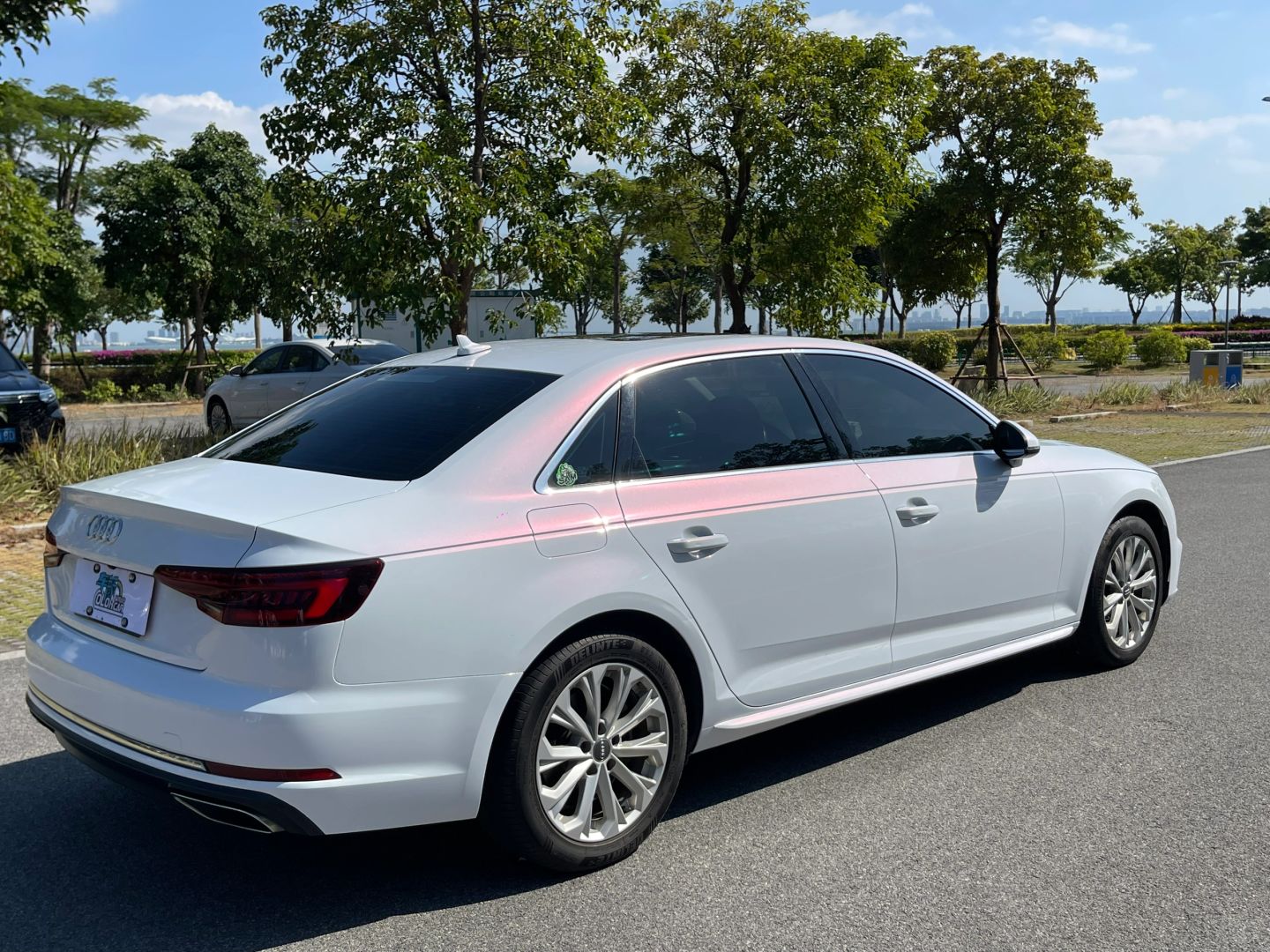 Ravoony Plus Matte Diamond Pink White Car Wrap
