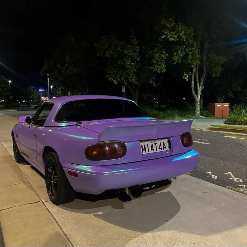 Ravoony Plus Twin Candy Purple Green Car Wrap