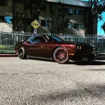 Ravoony Plus Gloss Black Rose Vinyl Wrap