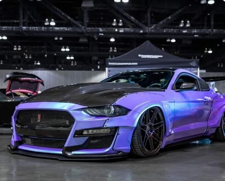 Ravoony Plus Twin Candy Purple Green Car Wrap