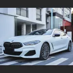 Ravoony Plus Ultimate Flat Bluish White Car Wrap