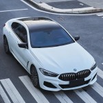 Ravoony Plus Ultimate Flat Bluish White Car Wrap