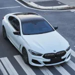 Ravoony Plus Ultimate Flat Bluish White Car Wrap