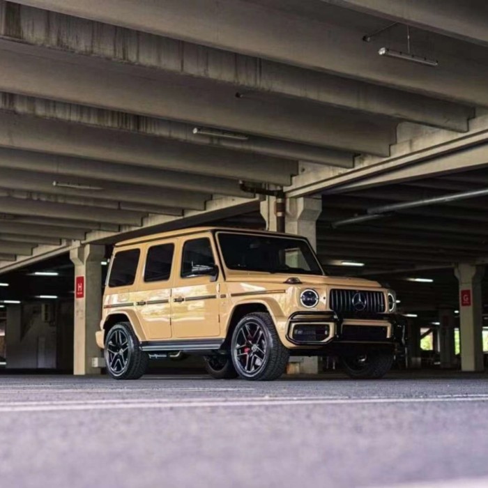 Ravoony Plus PET Gloss Sandstorm Car Wrap