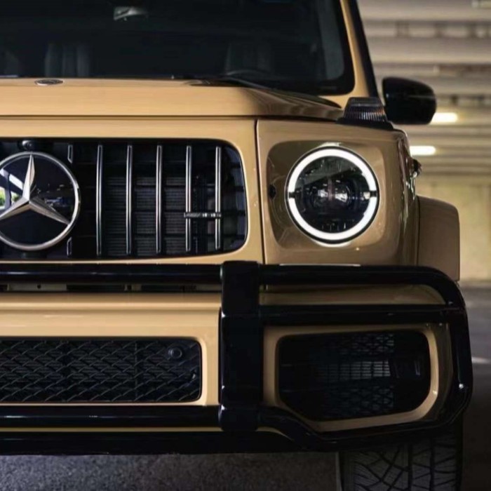 Ravoony Plus PET Gloss Sandstorm Car Wrap