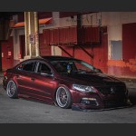 Ravoony Pro TPU Gloss Black Rose PPF Film