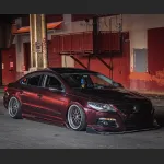 Ravoony Plus Gloss Black Rose Vinyl Wrap