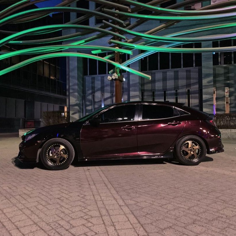 Ravoony Pro TPU Gloss Black Rose PPF Film