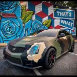 Ravoony Plus Customized Dolph Camo Wrap