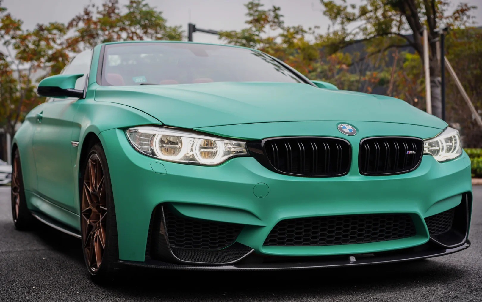 Ravoony Plus Matte Pine Green Wrap