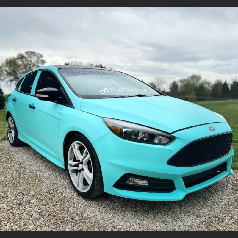 Ravoony Plus Matte Tiffany Blue Car Wrap