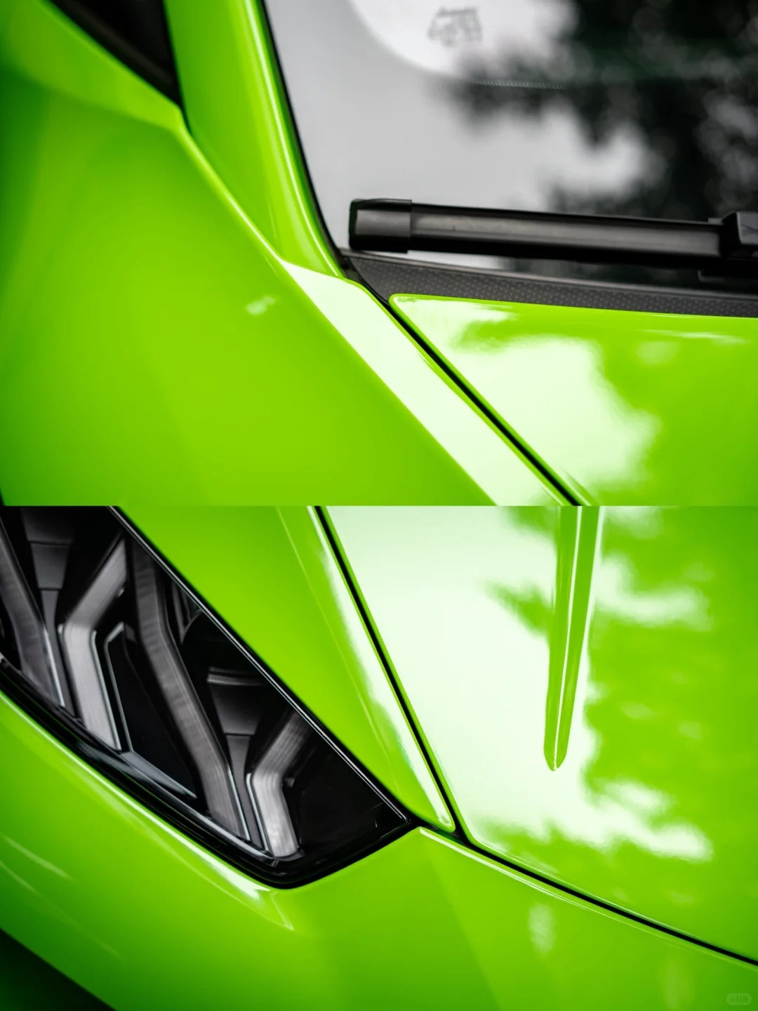 Ravoony Plus Lime Green Vinyl Wrap