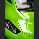  Ravoony Plus Lime Green Vinyl Wrap
