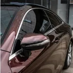 Ravoony Plus Glossy Diamond Black Red Vinyl Car Wrap