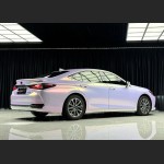 Ravoony Plus PET Glossy Glitter Starry Pink Car Vinyl Wrap