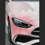 Ravoony Plus Customized Spring Peach Pink Car Wrap
