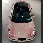 Ravoony Plus Customized Spring Peach Pink Car Wrap