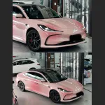 Ravoony Plus Customized Spring Peach Pink Car Wrap