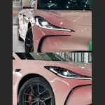 Ravoony Plus Customized Spring Peach Pink Car Wrap