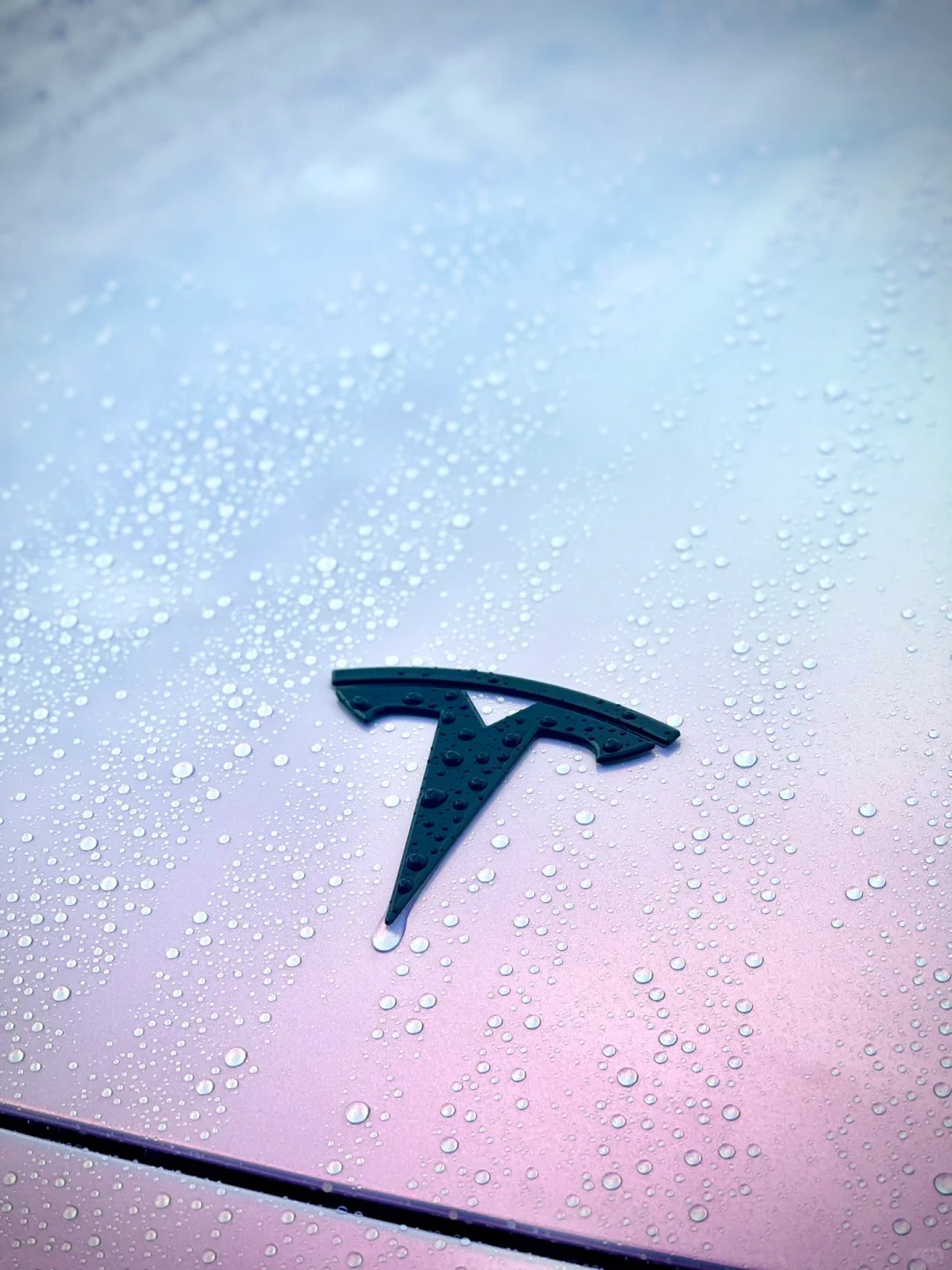 Ravoony Plus PET Glossy Glitter Starry Pink Car Vinyl Wrap