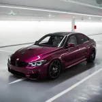 Ravoony Plus Gloss Pearl Grape Purple Car Wrap
