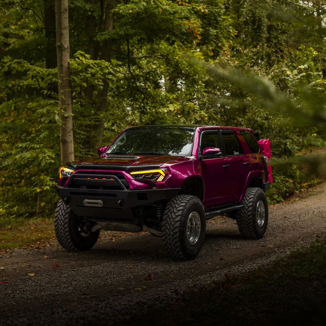 Ravoony Plus Gloss Pearl Grape Purple Car Wrap