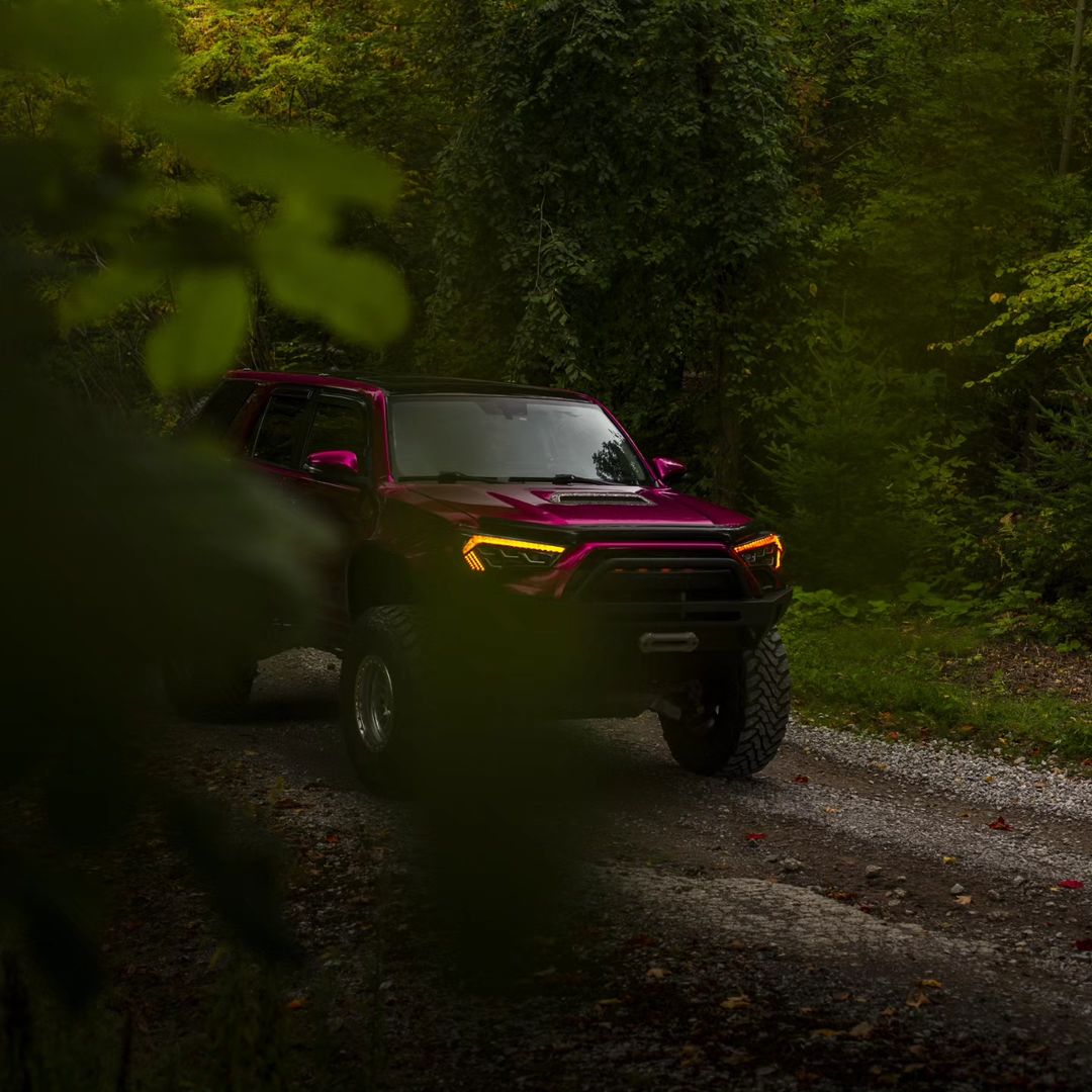 Ravoony Plus Gloss Pearl Grape Purple Car Wrap